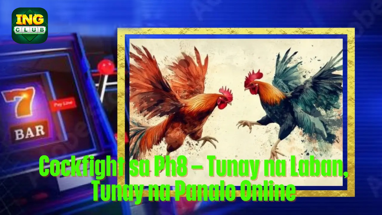 Cockfight sa TOPONE Tunay na Laban Tunay na Panalo Online